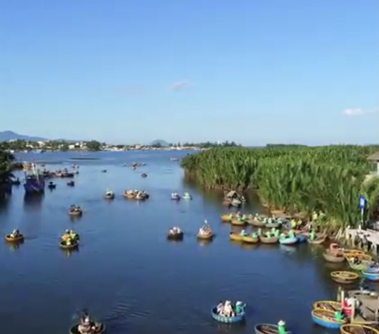 Trải nghiệm miền sông nước tại tour Rừng Dừa Bảy Mẫu 1 ngày từ Đà Nẵng